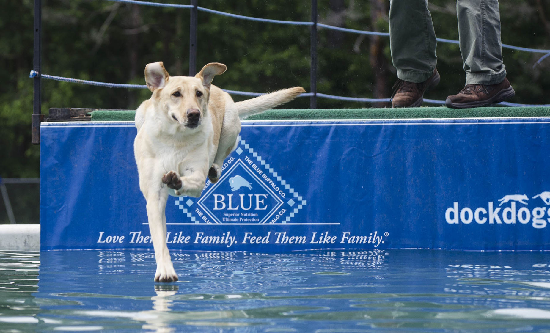 062215-nws-woofstock16.jpg